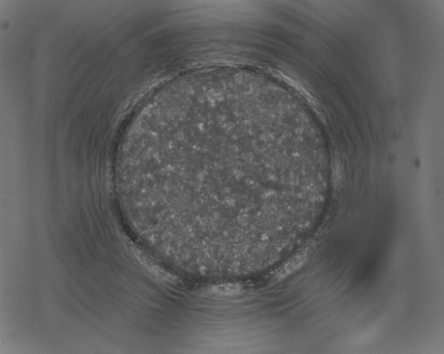 X0000078280353200612011750