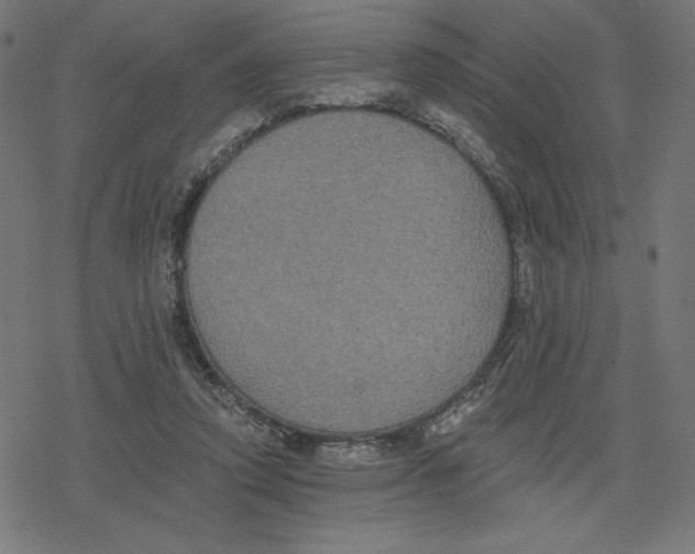 X0000078280354200612011750