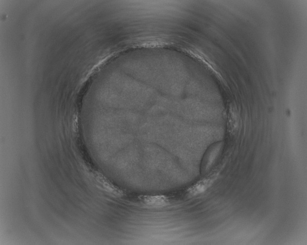 X0000078280355200612011750