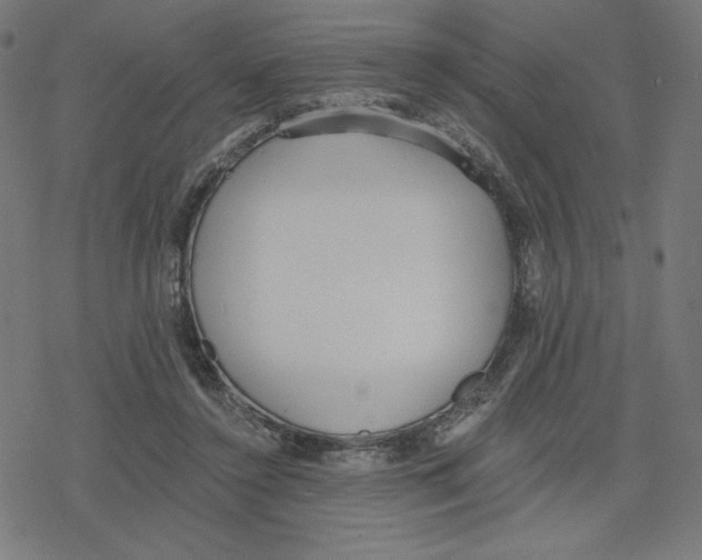 X0000078280356200612011750