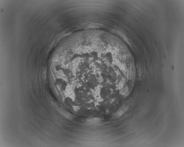 X0000078280357200612011750