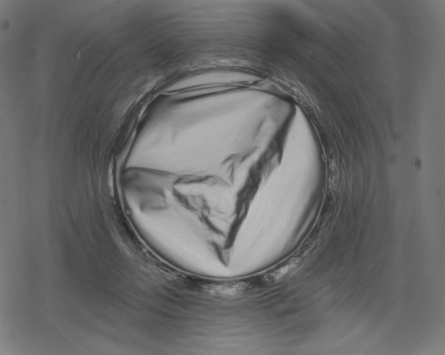 X0000078280358200612011750