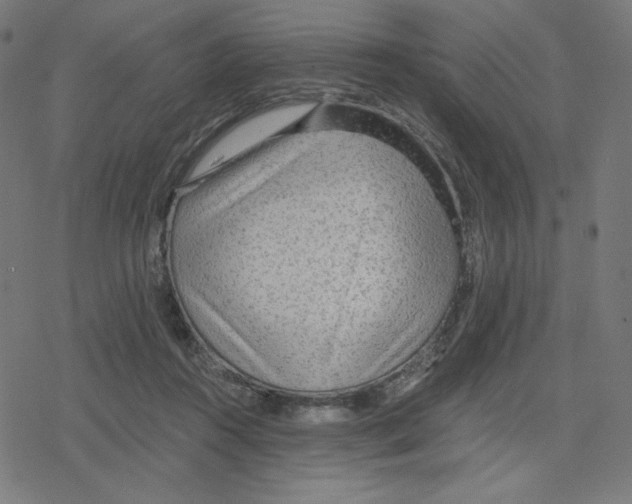 X0000078280360200612011750