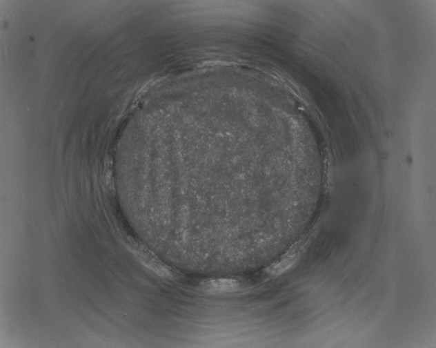 X0000078280361200612011750