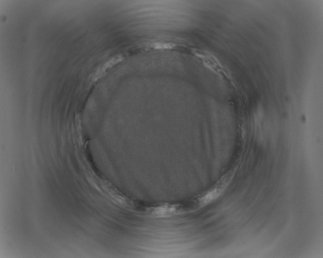 X0000078280366200612011750