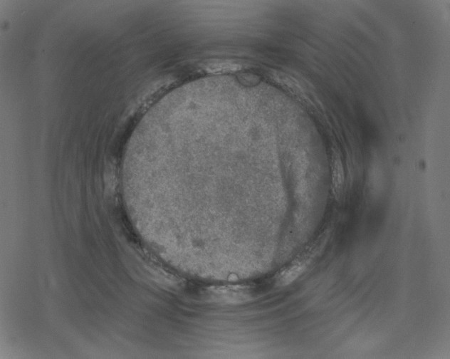 X0000078280367200612011750