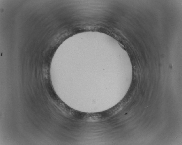 X0000078280368200612011750