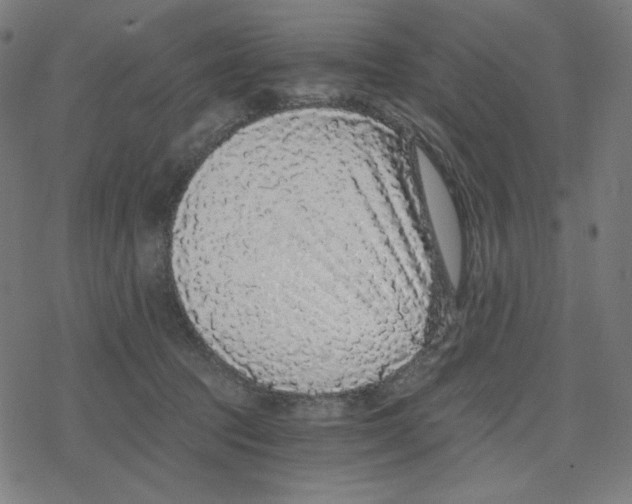 X0000078280369200612011750