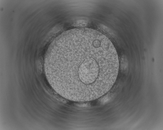 X0000078280370200612011750