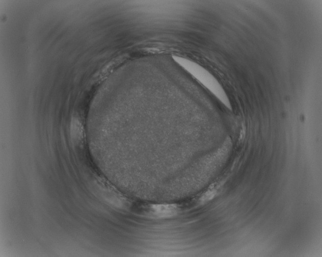 X0000078280371200612011750