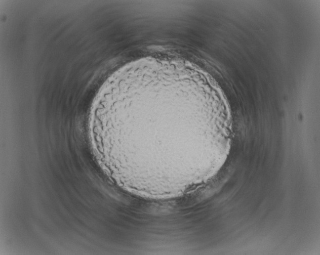 X0000078280373200612011750