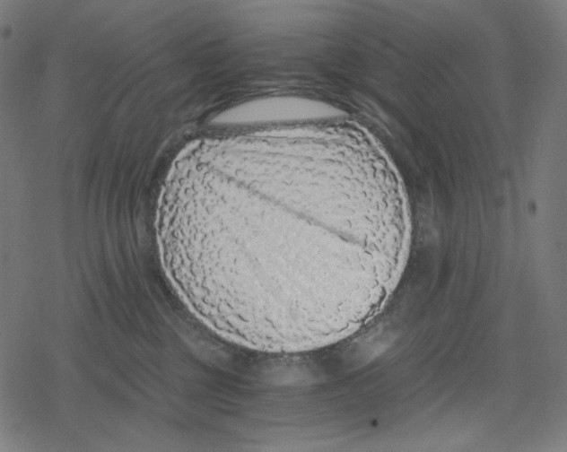 X0000078280377200612011750