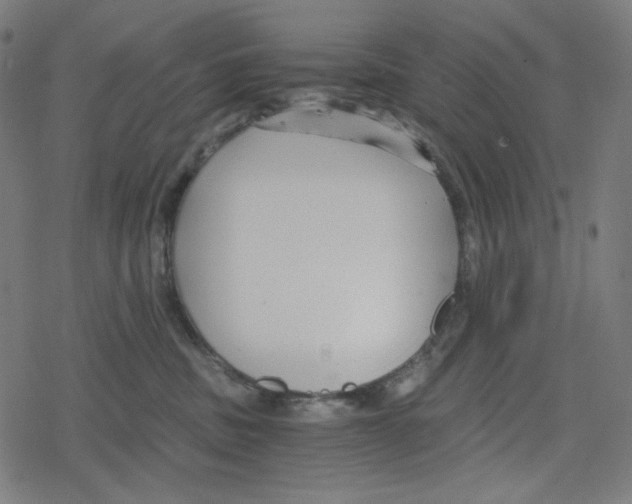 X0000078280379200612011750