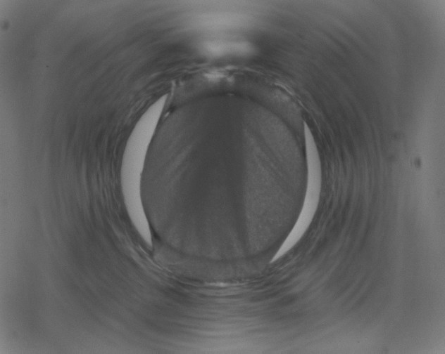 X0000078280380200612011750