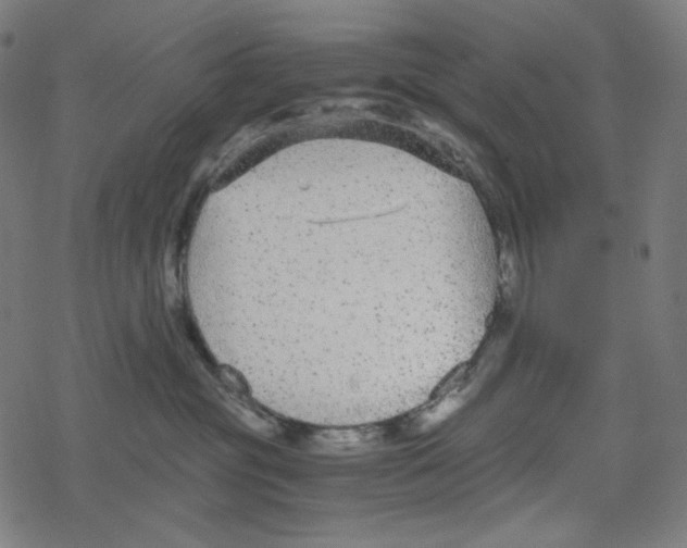 X0000078280381200612011750