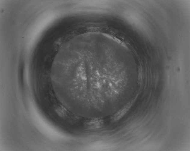 X0000078280383200612011750