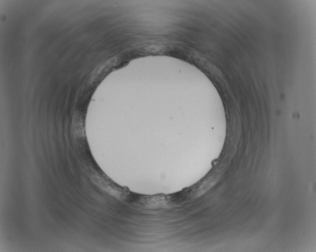 X0000078280384200612011750