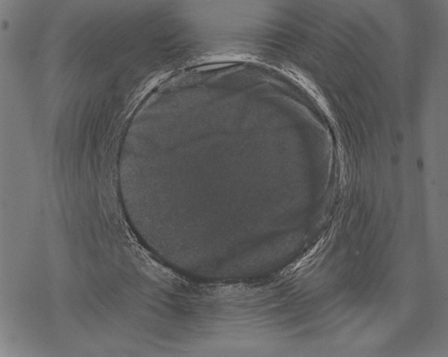 X0000078280385200612011749