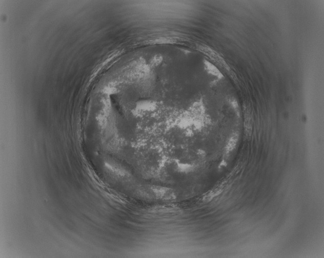 X0000078280386200612011749