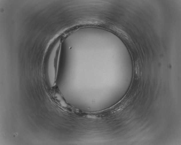 X0000078280388200612011749