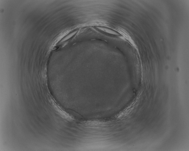 X0000078280389200612011749