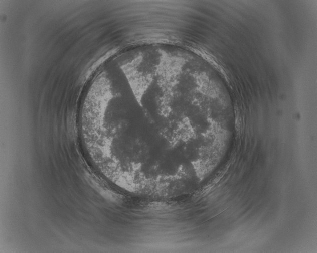 X0000078280390200612011749