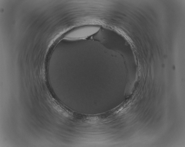 X0000078280391200612011749