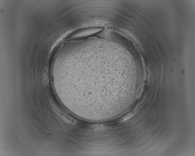 X0000078280392200612011749