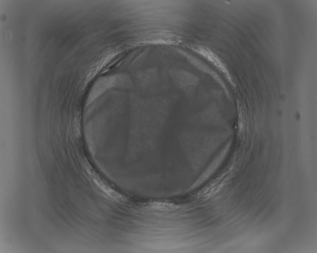 X0000078280393200612011749