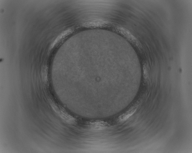 X0000078280396200612011749