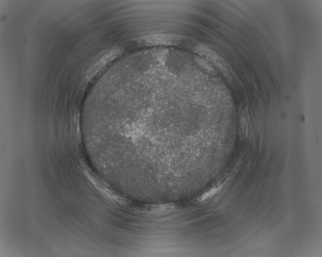 X0000078280398200612011749