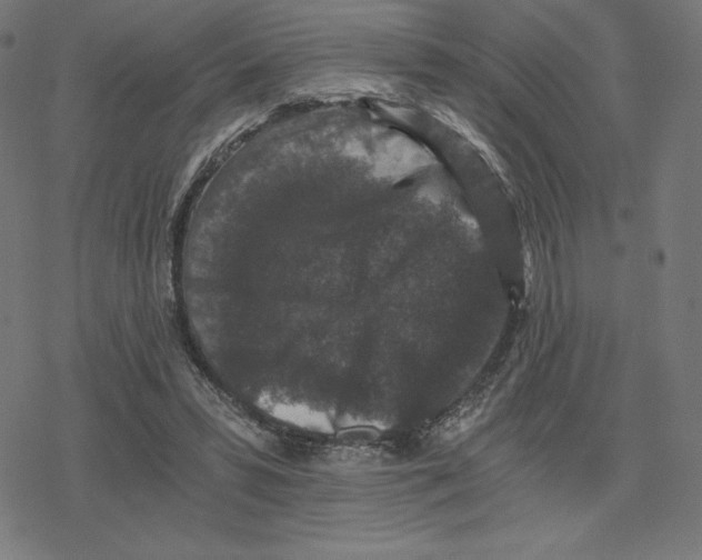 X0000078280399200612011749