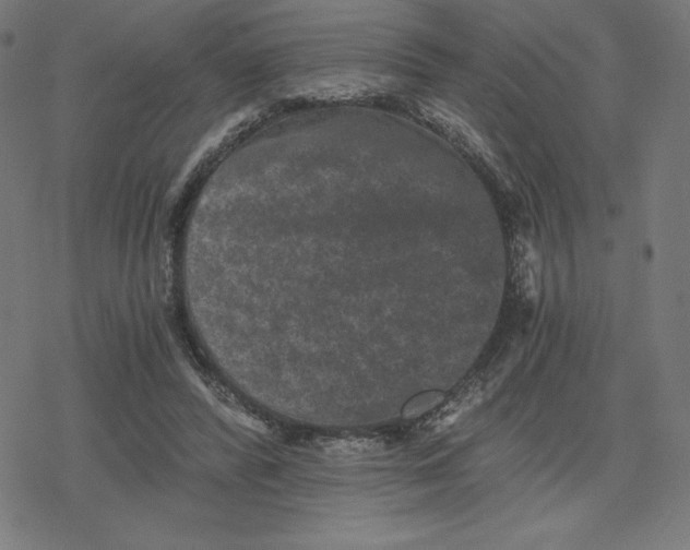 X0000078280400200612011749