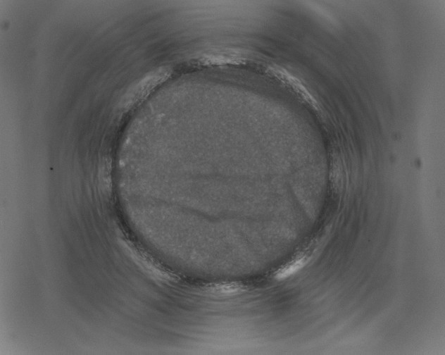 X0000078280402200612011749