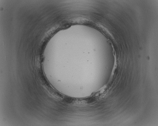 X0000078280403200612011749