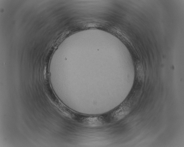 X0000078280406200612011749