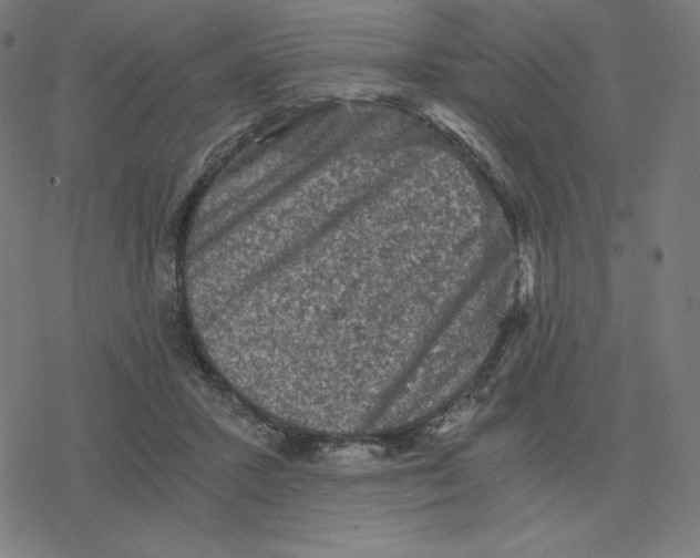 X0000078280407200612011749