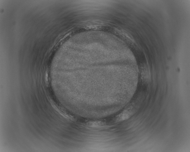 X0000078280408200612011749