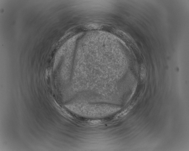 X0000078280409200612011749