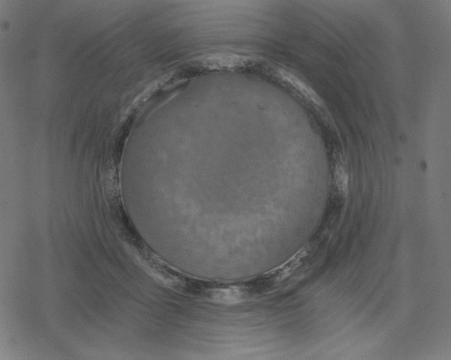 X0000078280411200612011749