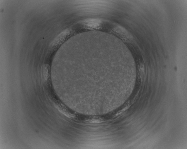 X0000078280412200612011749