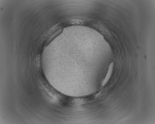 X0000078280413200612011749