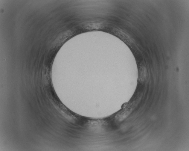 X0000078280414200612011749