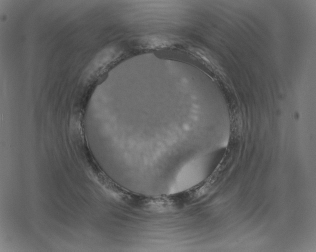 X0000078280415200612011749