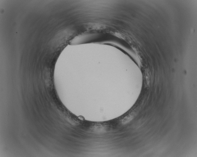 X0000078280416200612011749