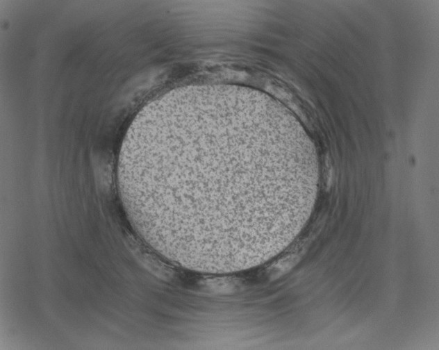 X0000078280417200612011749