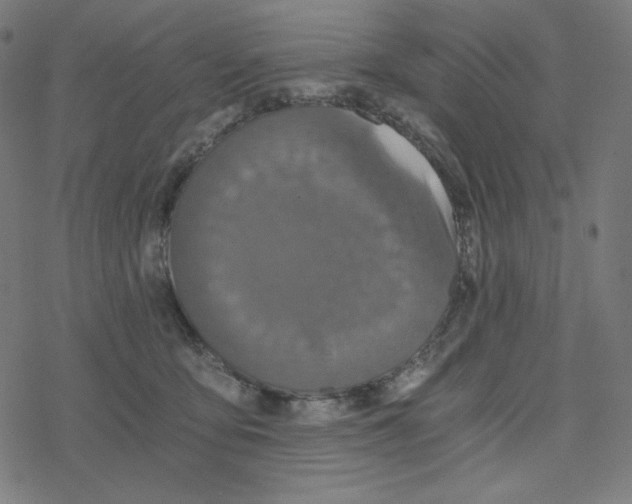 X0000078280419200612011749