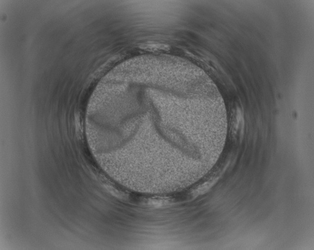 X0000078280420200612011749