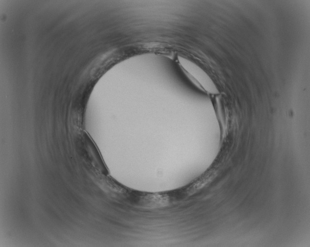 X0000078280421200612011749