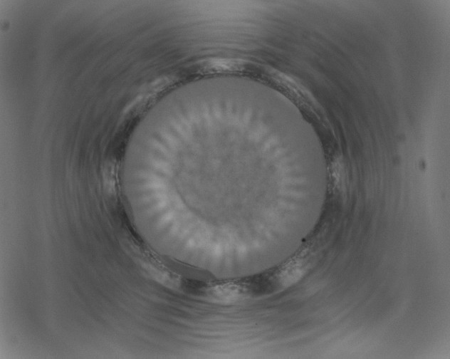 X0000078280423200612011749